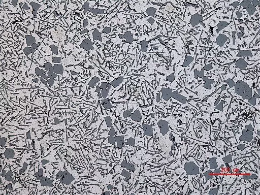 金相典型特征樣品圖譜（七） 有色金屬合金組織解析——徠卡顯微系統(tǒng)應(yīng)用指南